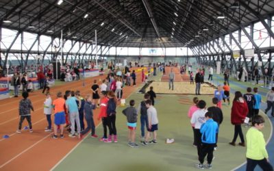 Ateliers sportifs autour du handicap