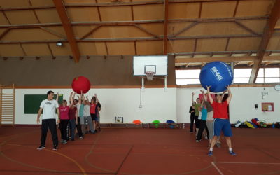 Formation des enseignants