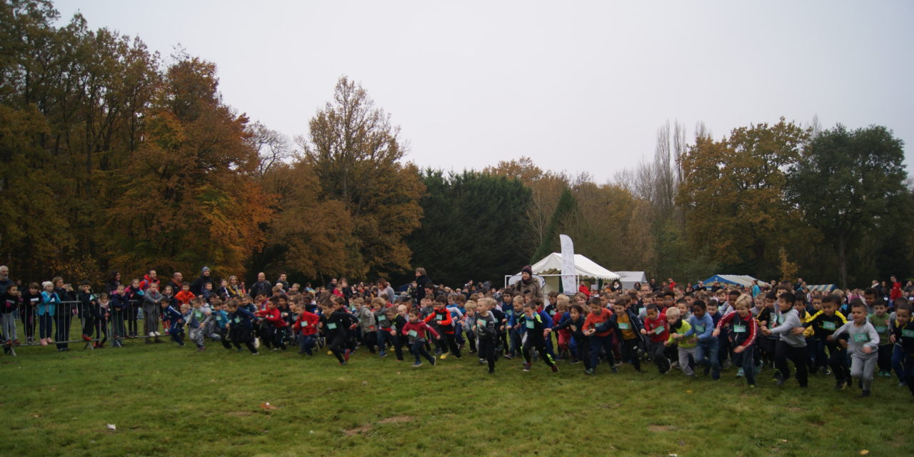 Cross de la Communauté Urbaine d’Alençon