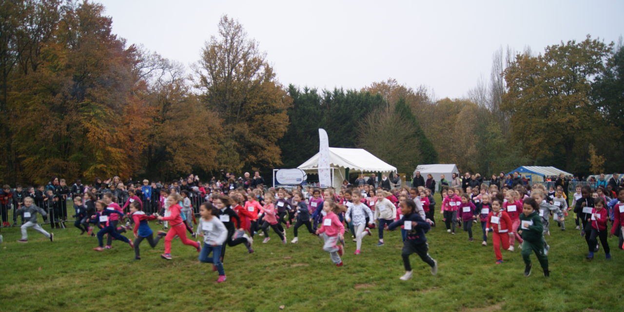 Cross de la Communauté Urbaine d’Alençon