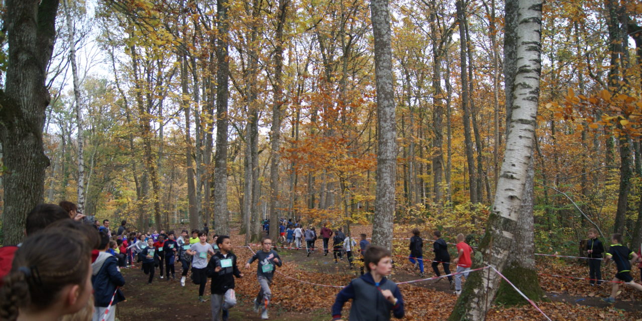 Cross de la Communauté Urbaine d’Alençon
