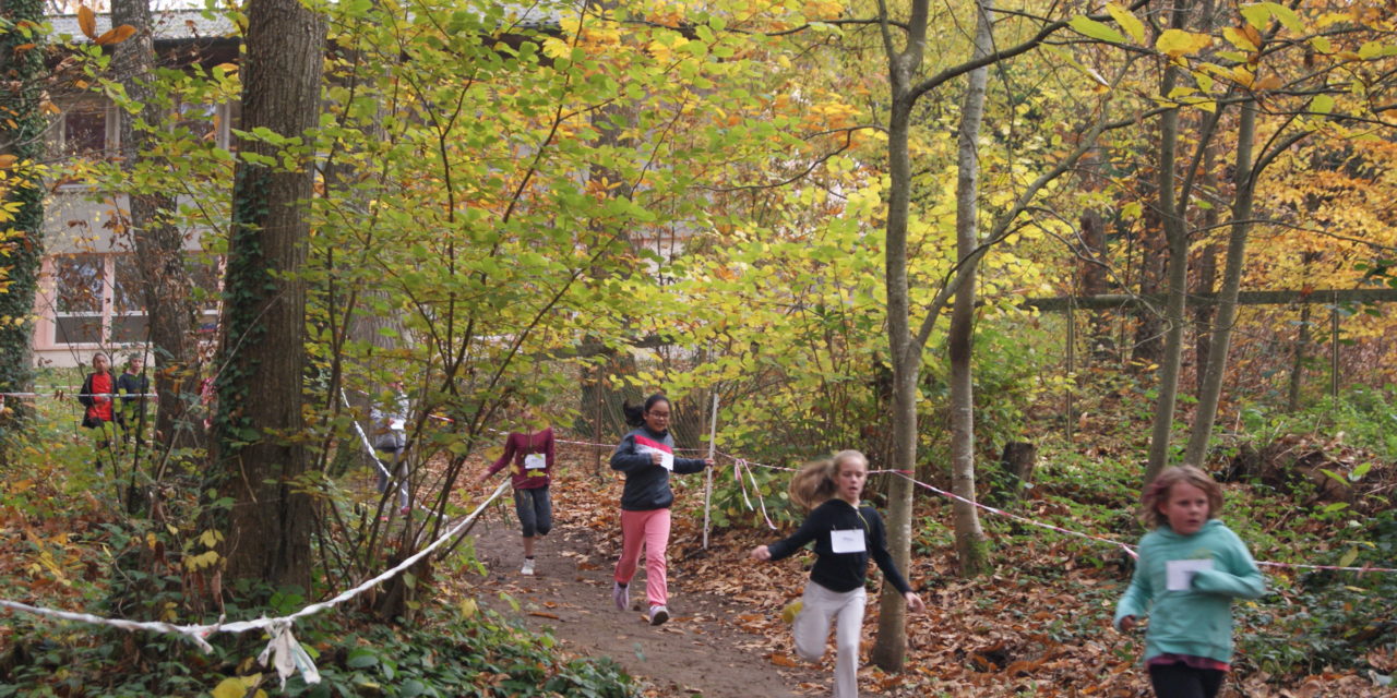 Cross de la Communauté Urbaine d’Alençon