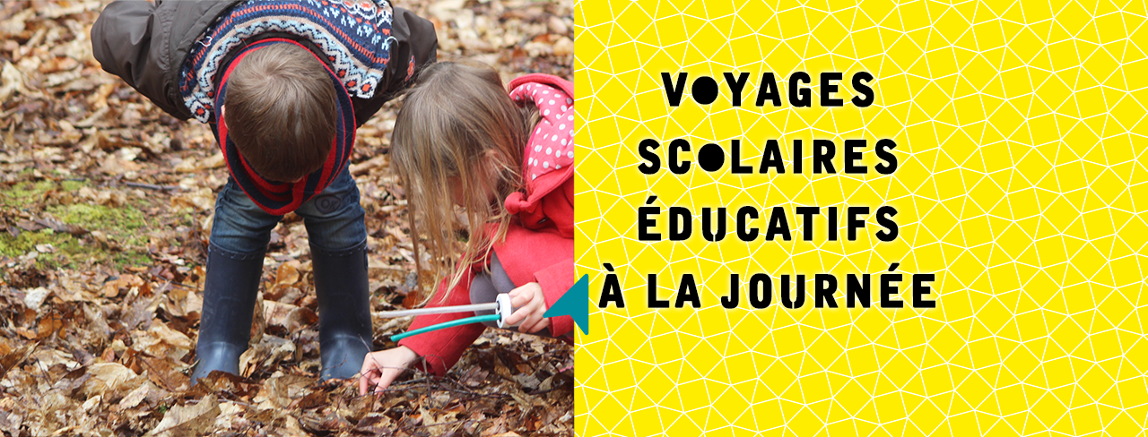 Voyage scolaires éducatifs à la journée