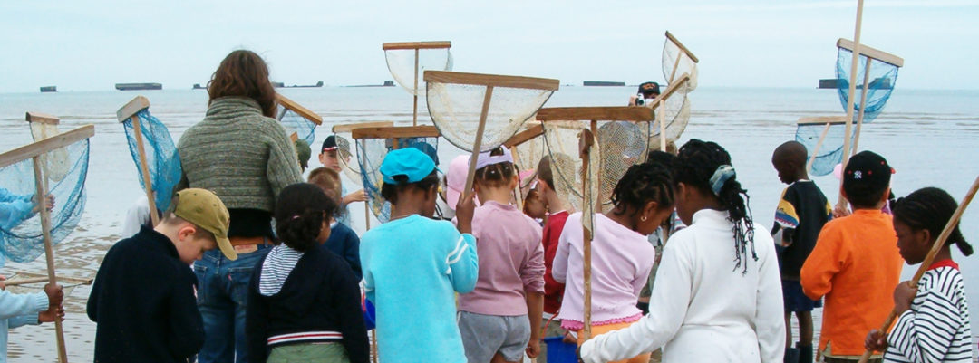 Milieu marin, passeport découverte