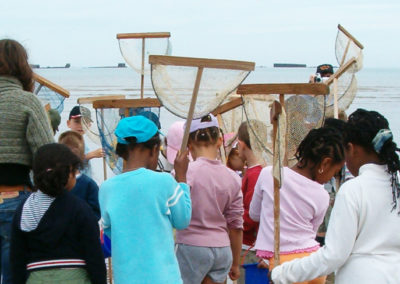 Milieu marin, passeport découverte