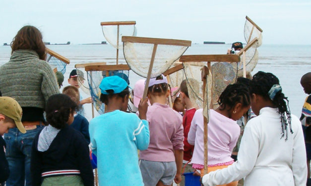 Milieu marin, passeport découverte