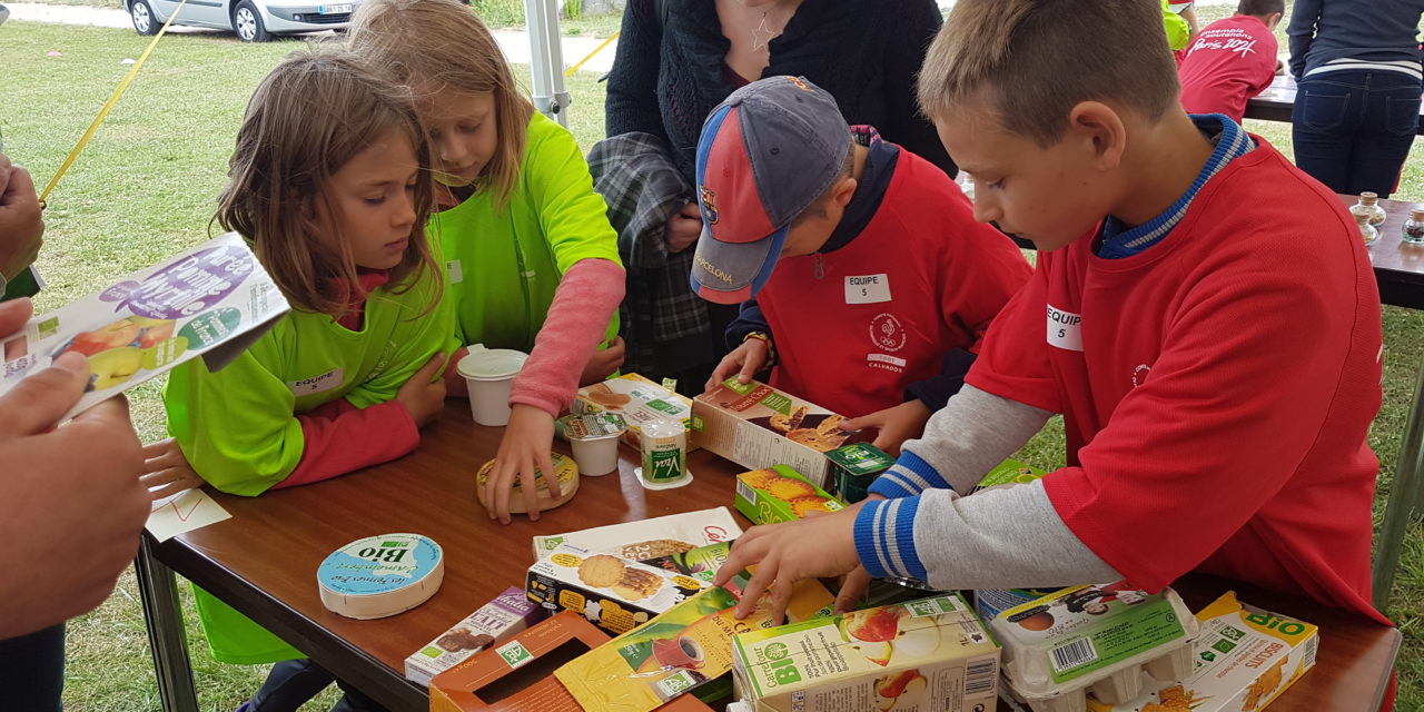 Journée olympique en sport partagé