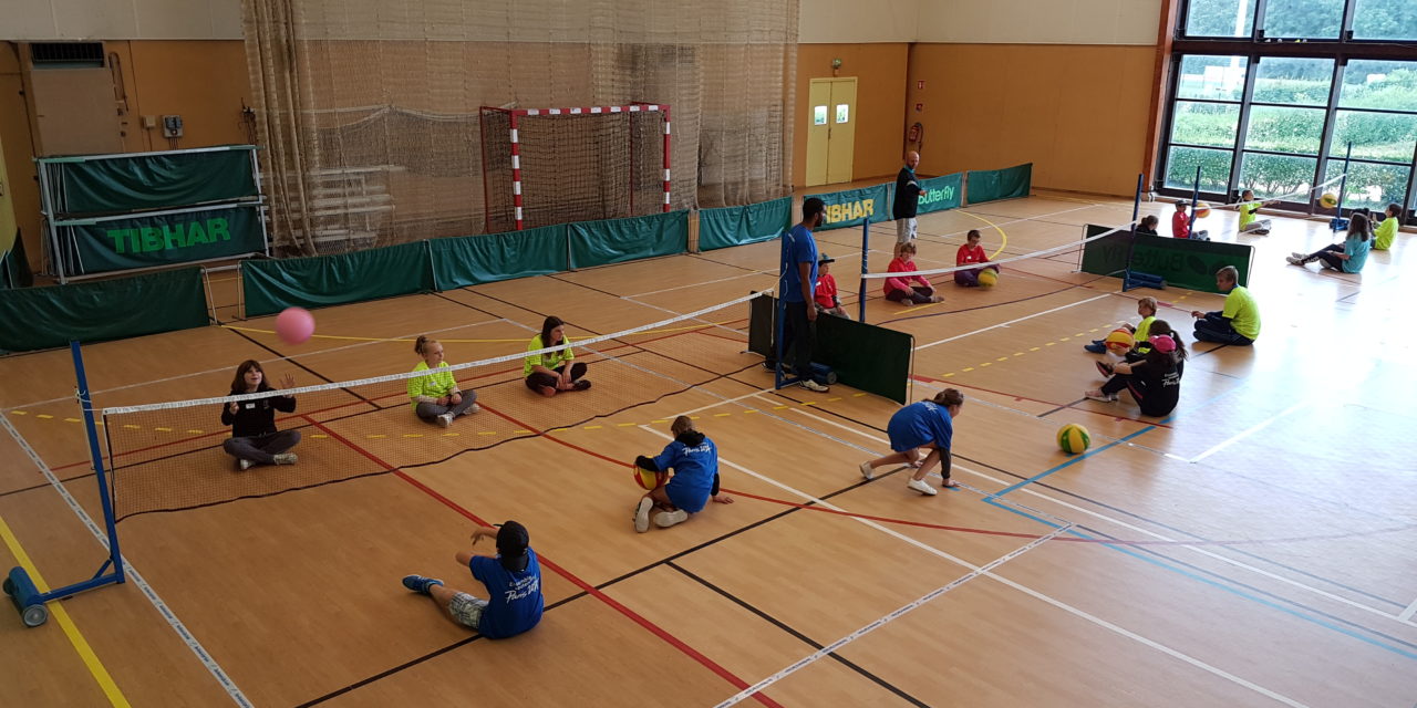 Journée olympique en sport partagé