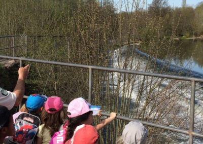 De l’eau dans tous ses états