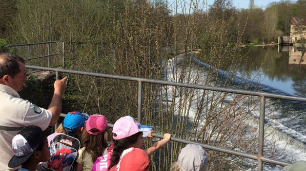 De l’eau dans tous ses états