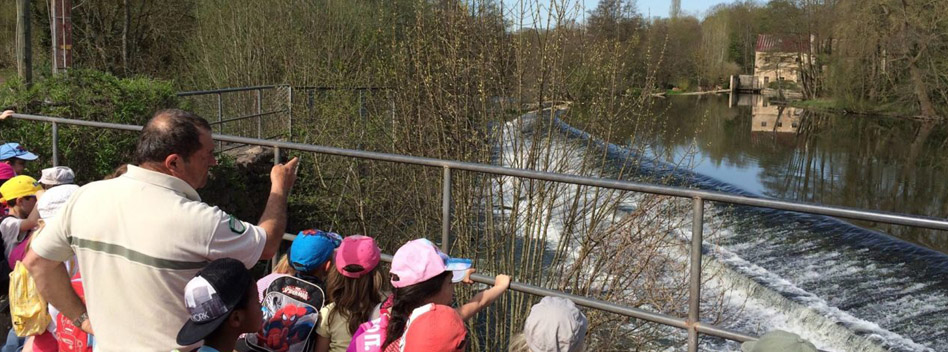 De l’eau dans tous ses états