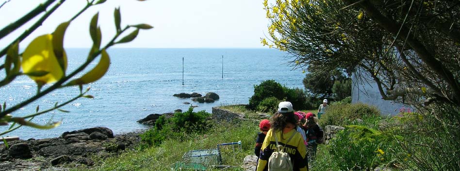 Pirates et corsaires