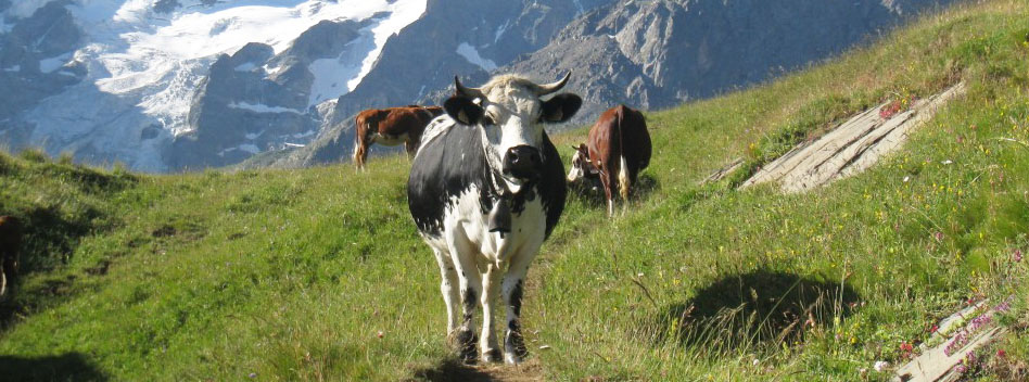 La population montagnarde