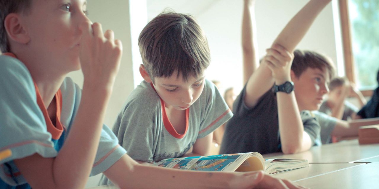 Animations thématiques ponctuelles