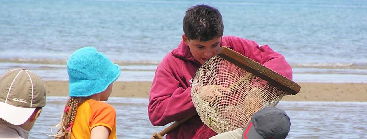 Brochure régionale classes de découvertes 2018-2019