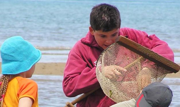 Brochure régionale classes de découvertes 2018-2019