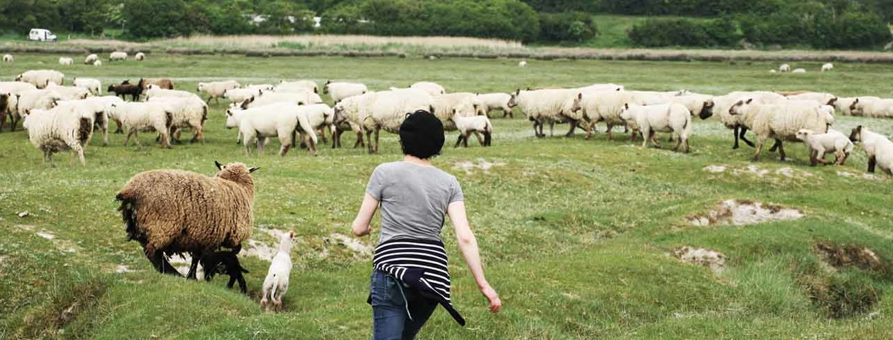 Le Mois du Film Documentaire sur le réseau Génériques