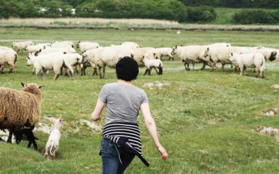 Le Mois du Film Documentaire sur le réseau Génériques