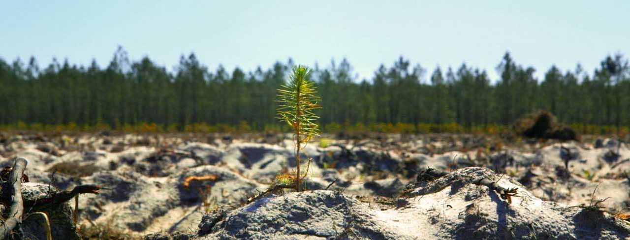 Le Mois du Film Documentaire sur le réseau Génériques