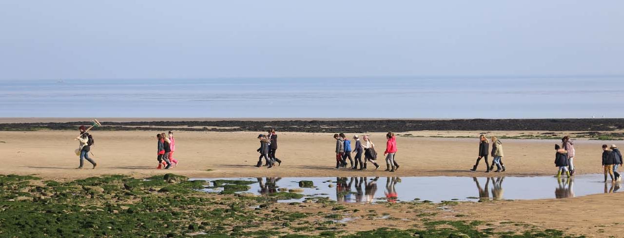 Brochure régionale classes de découvertes 2019-2020