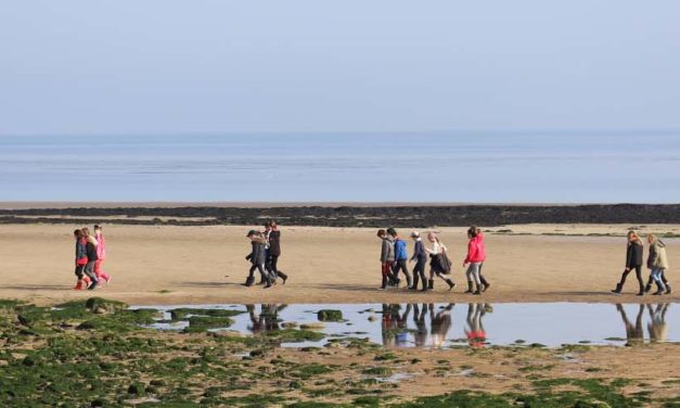 Brochure régionale classes de découvertes 2019-2020