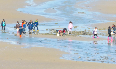 Sorties scolaires éducatives à la journée 2021