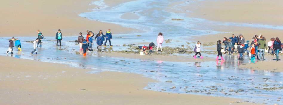 Sorties scolaires éducatives à la journée 2021