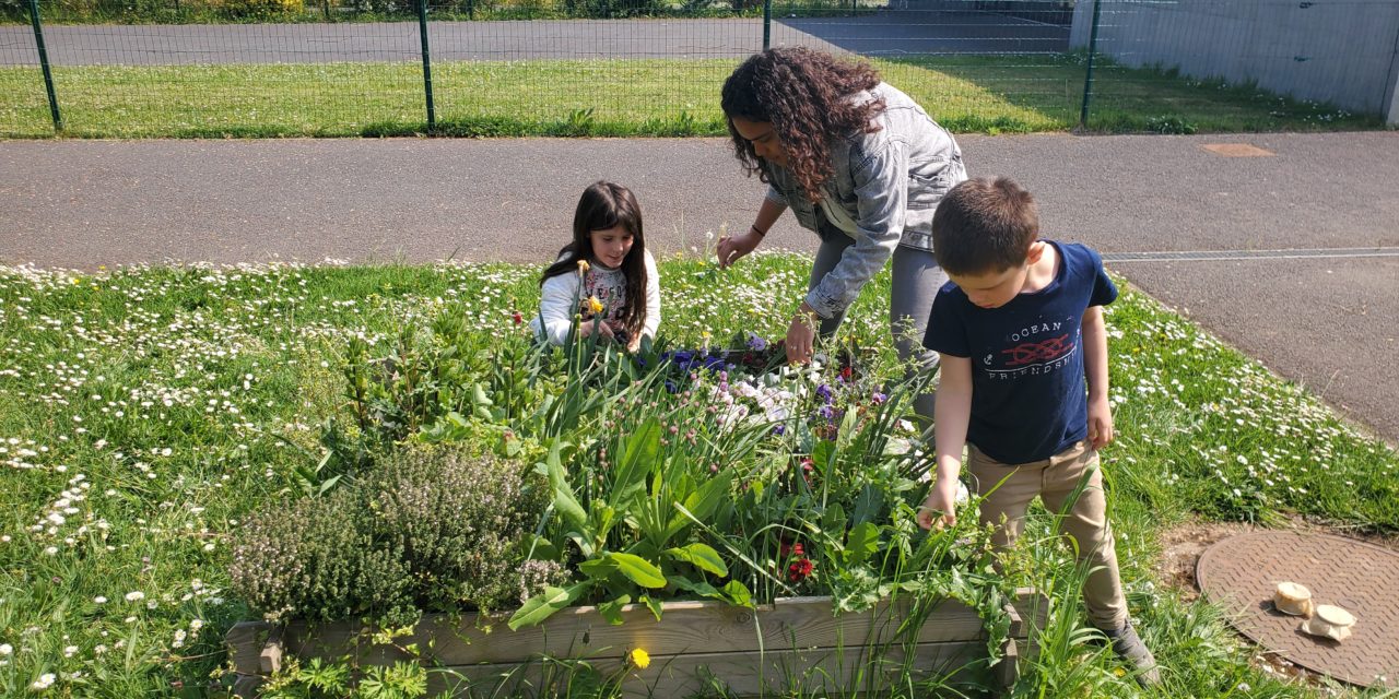 Des nouvelles de nos accueils de loisirs et des idées d’activités à partager en famille