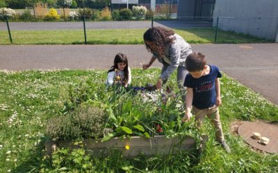 Des nouvelles de nos accueils de loisirs et des idées d’activités à partager en famille