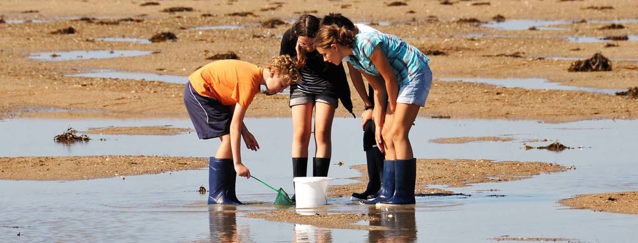 Brochure régionale classes de découvertes 2020-2021