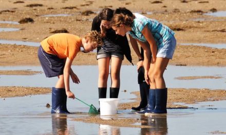 Brochure régionale classes de découvertes 2020-2021