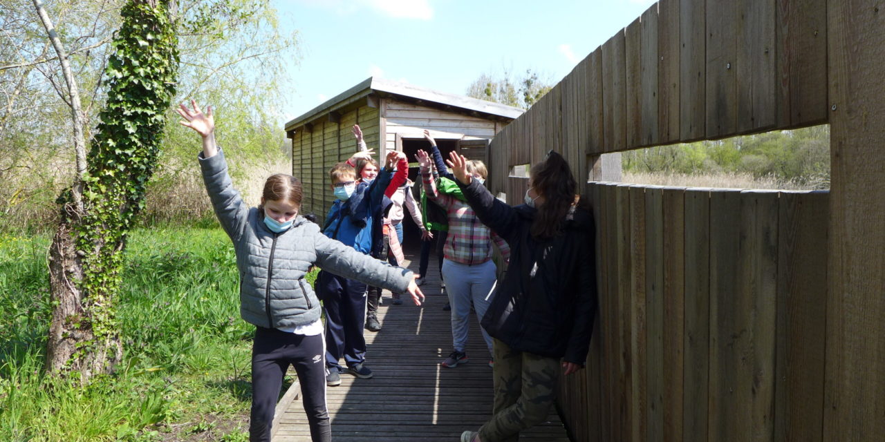 Sortie dans les Marais de Chicheboville